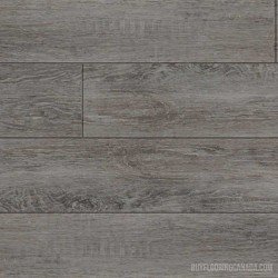 Beaulieu Canada Expedition Pinenut